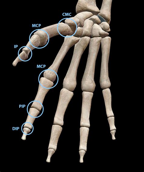 A Digital Post: Fingers and Thumbs .